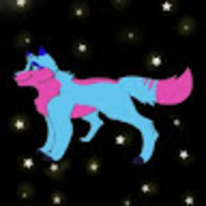 Meet your Posher, Lexie